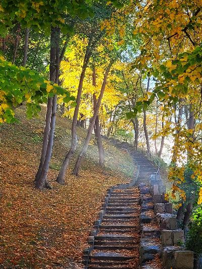 Frombork jesienią fot. Gabriela Garbowska